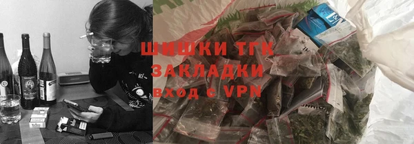 прущие грибы Каменногорск