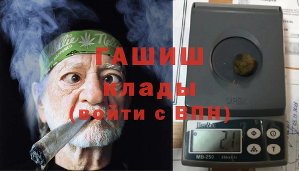 прущие грибы Каменногорск