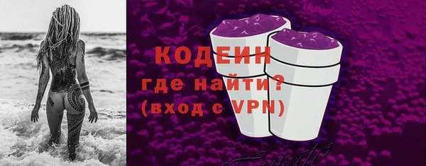 прущие грибы Каменногорск