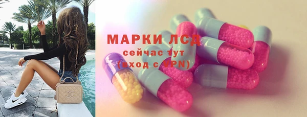 прущие грибы Каменногорск