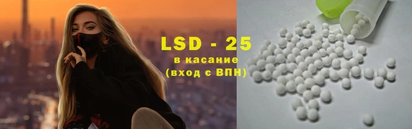 прущие грибы Каменногорск