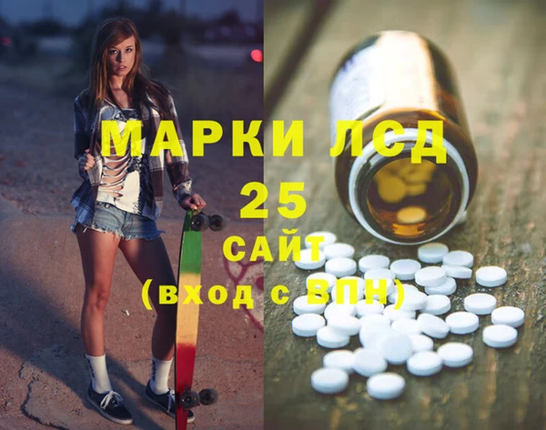 прущие грибы Каменногорск