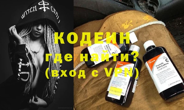 прущие грибы Каменногорск