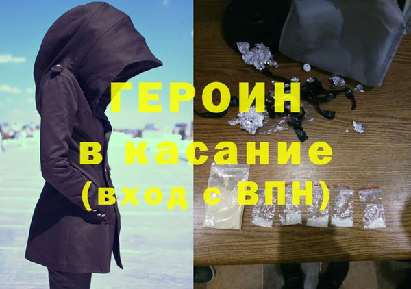 прущие грибы Каменногорск
