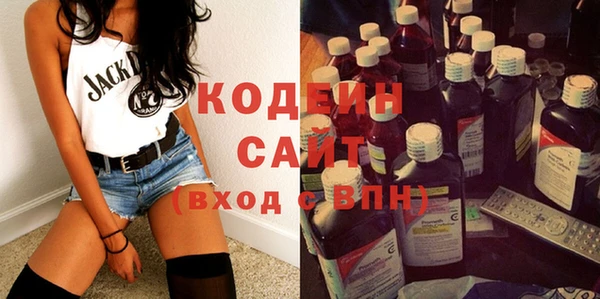 прущие грибы Каменногорск