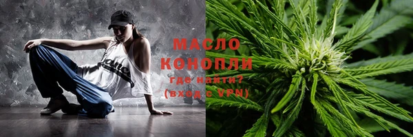 прущие грибы Каменногорск