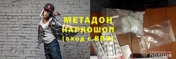 прущие грибы Каменногорск